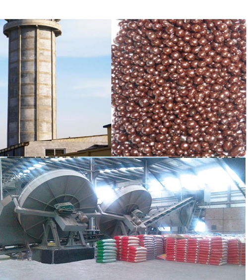 复合肥整套设备厂家 复合肥整套设备 泰安宏鑫环保科技