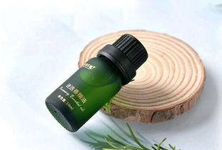 迷迭香的强大功效与环保科技应用